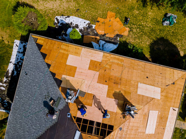 Best Roof Waterproofing Services  in Corrigan, TX