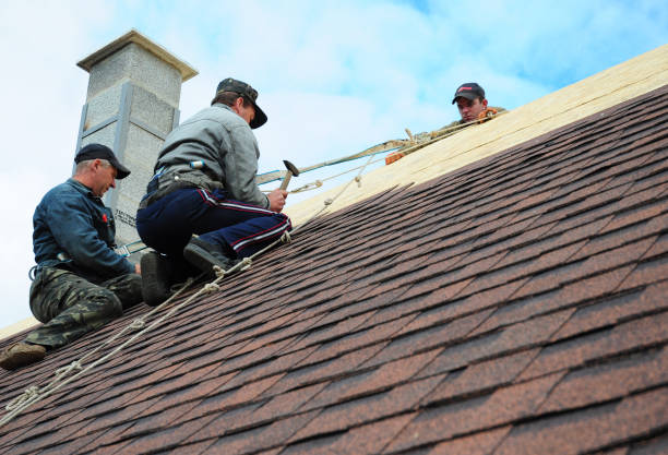 Best Roof Maintenance Services  in Corrigan, TX
